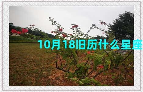 10月18旧历什么星座