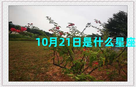 10月21日是什么星座