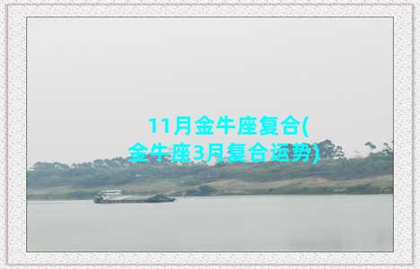 11月金牛座复合(金牛座3月复合运势)