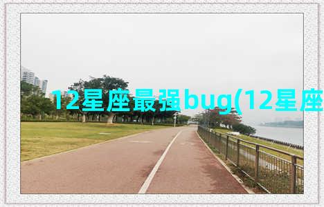 12星座最强bug(12星座最强表)