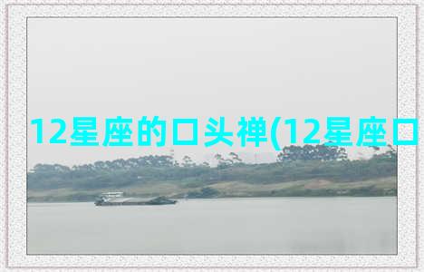 12星座的口头禅(12星座口头禅全部)