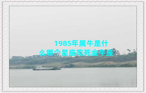 1985年属牛是什么哪个星座吃死金牛座