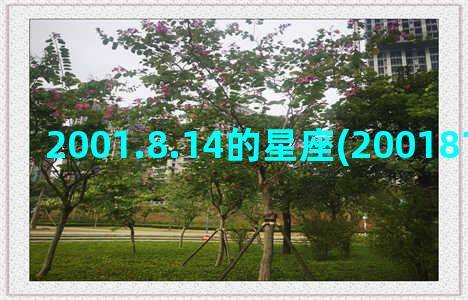 2001.8.14的星座(2001818是什么星座)