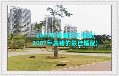 2007年属猪的天蝎座(2007年属猪的最佳婚配)