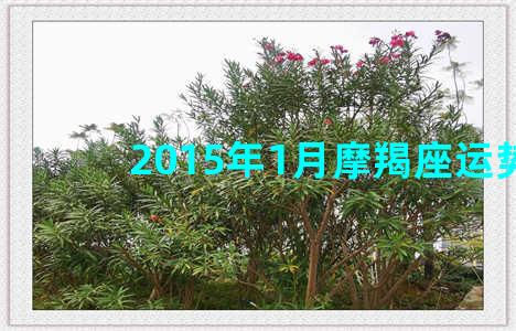 2015年1月摩羯座运势