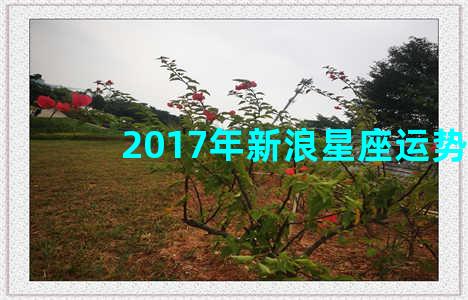 2017年新浪星座运势