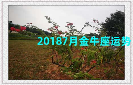 20187月金牛座运势