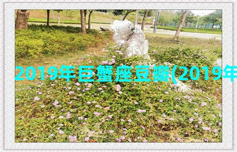 2019年巨蟹座豆瓣(2019年巨蟹座水逆)