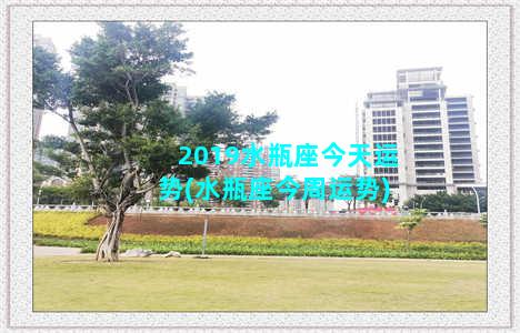 2019水瓶座今天运势(水瓶座今周运势)