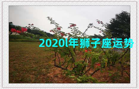 2020l年狮子座运势