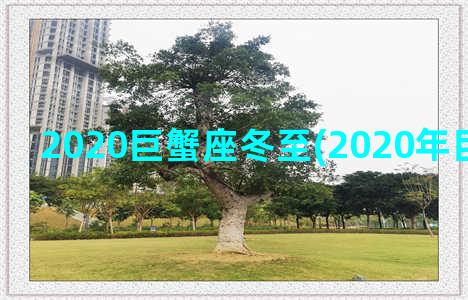 2020巨蟹座冬至(2020年巨蟹座运势)