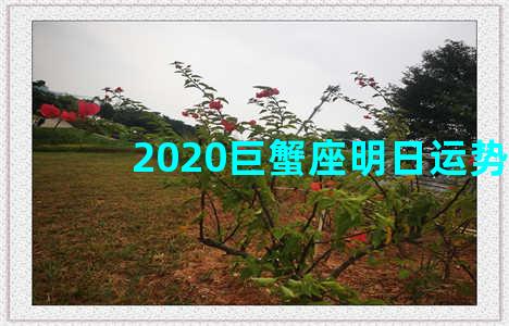 2020巨蟹座明日运势