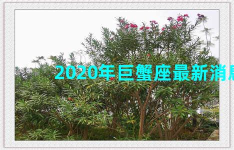 2020年巨蟹座最新消息