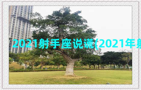 2021射手座说谎(2021年射手座运势)