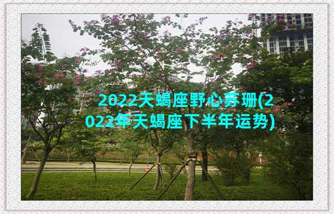 2022天蝎座野心苏珊(2022年天蝎座下半年运势)