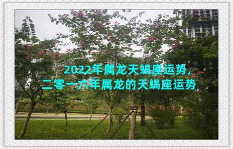 2022年属龙天蝎座运势,二零一六年属龙的天蝎座运势