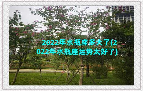 2022年水瓶座多大了(2022年水瓶座运势太好了)