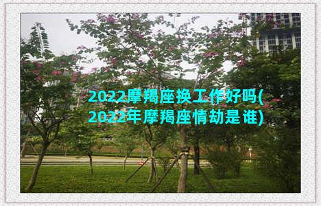 2022摩羯座换工作好吗(2022年摩羯座情劫是谁)