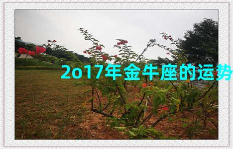 2o17年金牛座的运势