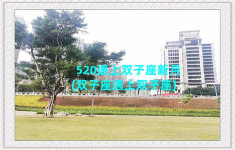 520遇上双子座新月(双子座遇上双子座)