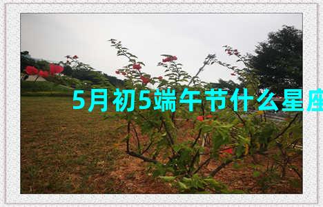 5月初5端午节什么星座