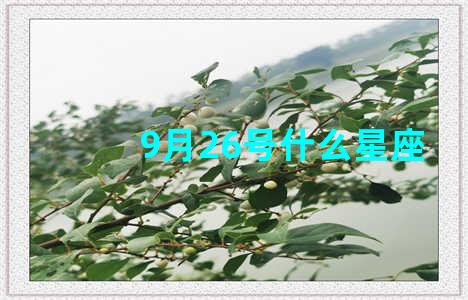 9月26号什么星座