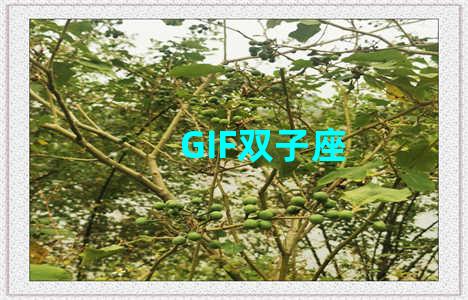 GIF双子座