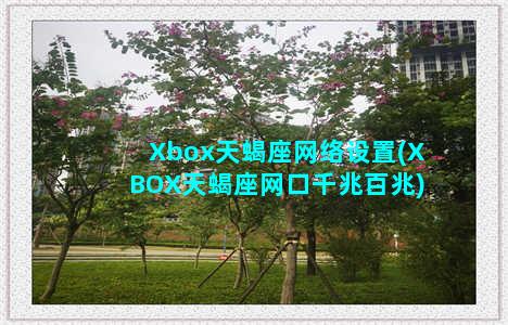 Xbox天蝎座网络设置(XBOX天蝎座网口千兆百兆)