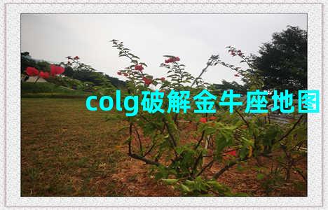 colg破解金牛座地图