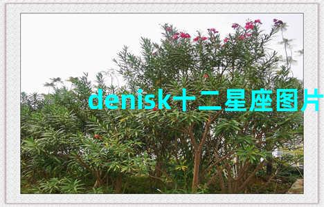 denisk十二星座图片