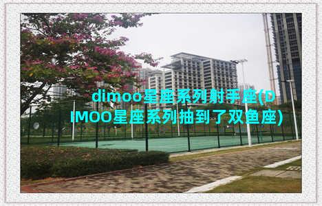 dimoo星座系列射手座(DIMOO星座系列抽到了双鱼座)