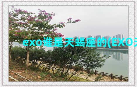 exo谁是天蝎座的(EXO天蝎座)