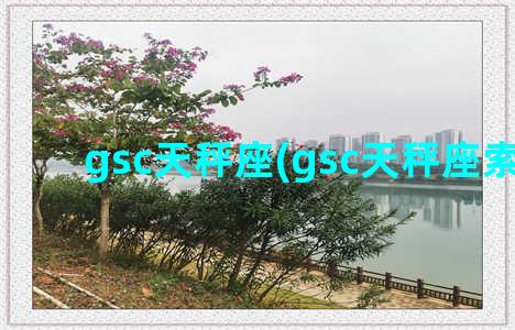 gsc天秤座(gsc天秤座索尼子)