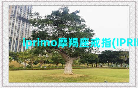 iprimo摩羯座戒指(IPRIMO官网)