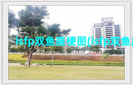 isfp双鱼座梗图(isfp双鱼座女生)