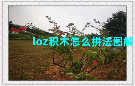 loz积木怎么拼法图解