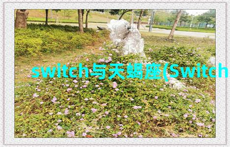 switch与天蝎座(Switch国行破解)