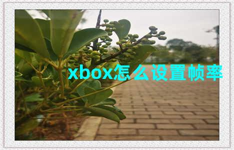 xbox怎么设置帧率