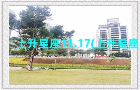 上升星座11.17(上升星座11月1日)