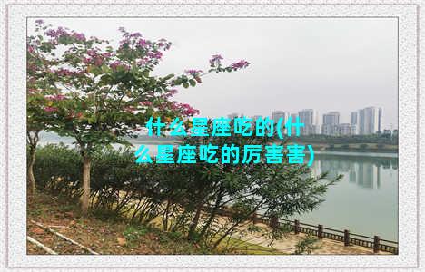 什么星座吃的(什么星座吃的厉害害)