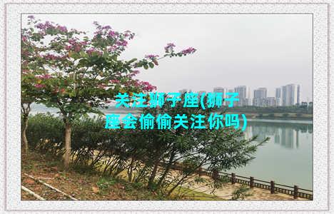 关注狮子座(狮子座会偷偷关注你吗)