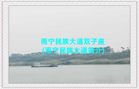 南宁民族大道双子座(南宁民族大道简介)