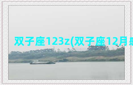 双子座123z(双子座12月感情运势)