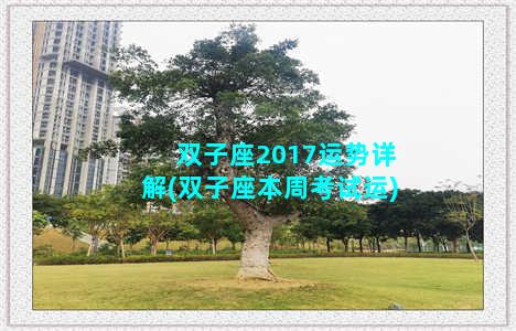 双子座2017运势详解(双子座本周考试运)