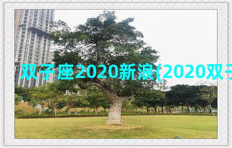 双子座2020新浪(2020双子座开运物)