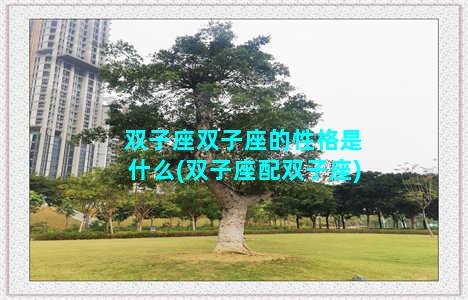 双子座双子座的性格是什么(双子座配双子座)