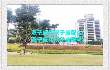 双子座和双子座配么(双子座和双子座配吗)