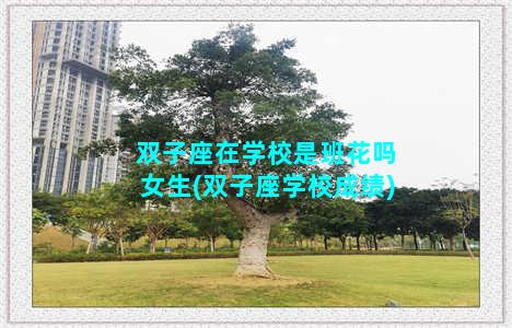 双子座在学校是班花吗女生(双子座学校成绩)