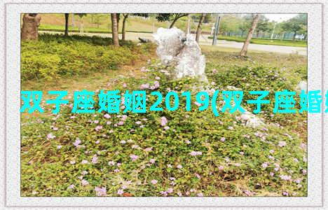 双子座婚姻2019(双子座婚姻运势2021)