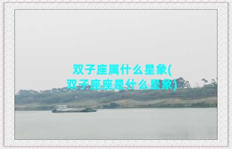 双子座属什么星象(双子座座是什么星象)